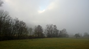 Der Nebel liegt noch über den Wiesen