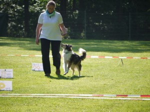 Hazel beim Rally-OBI