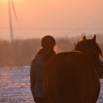 Dickes Pony - Sonnenuntergang_38