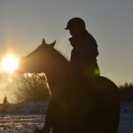 Dickes Pony - Sonnenuntergang_40